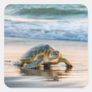 Search for beach walk stickers Sand