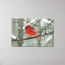 Search for male canvas prints Red