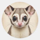 Search for glider stickers Animal