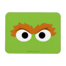 Search for grouch magnets Seasame st