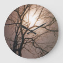 Search for passion photography Scenery