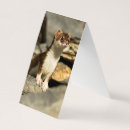 Search for wildlife designs cards Cute animal