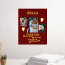 Search for memorial cats posters Pets