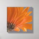 Search for orange and grey canvas prints Floral