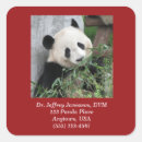 Search for veterinarian stickers Dvm