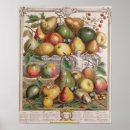 Search for fruit season chart 1732