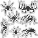 Search for big spider stickers Black