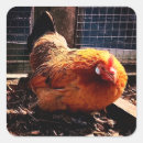 Search for red chicken stickers Farm