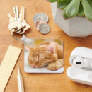 Search for ginger cat key rings Kitten