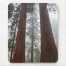 Search for tree mousepads Snow