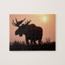 Search for moose puzzles North america