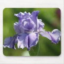 Search for springtime photography Bloom