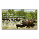 Search for mammals business cards Nature