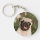 Search for panting key rings Puppy