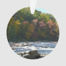 Search for rapids christmas tree decorations Landscape