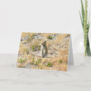 Search for prairie dog cards Mountains