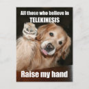 Search for funny jokes postcards Meme