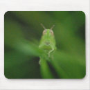 Search for bug mousepads Grass