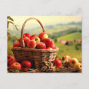 Search for apple baskets postcards Apples