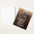 Search for monkey office supplies Wildlife
