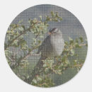 Search for bird watching stickers Birdwatcher