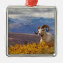 Search for ram christmas tree decorations Sheep