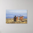 Search for mammals canvas prints Horse