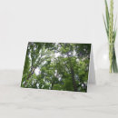 Search for canopy cards Landscape