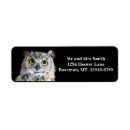 Search for horned Owls