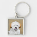 Search for apso key rings Lhasa
