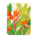 Search for tropical flowers magnets Bird of paradise