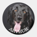 Search for person Pet