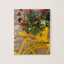 Search for bicycle puzzles Flowers