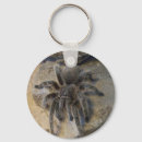 Search for tarantula key rings Chain