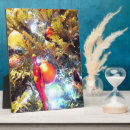 Search for christmas tree plaques Winter