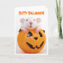 Search for funny halloween cards Silly