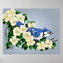 Search for bluejay posters Animals