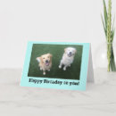 Search for golden retriever birthday cards Cute