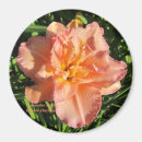 Search for original magnets Flowers