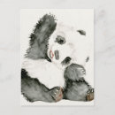 Search for cute baby panda postcards Animals