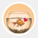 Search for goldfish stickers Cartoon