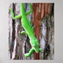Search for for anyone posters Nature