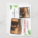 Search for chic christmas cards 2 photo