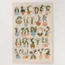 Search for plants puzzles Alphabet