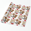Search for cat xmas wrapping paper Dog
