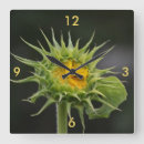 Search for sunflower clocks Green