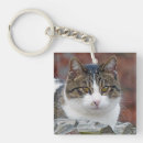 Search for for calico lovers key rings Cat lover