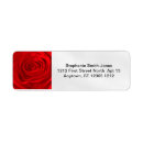 Search for rose return photography Elegant