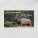 Search for elk business cards Wildlife