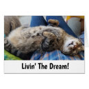 Search for tabby cat Black